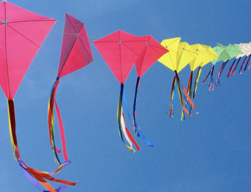 Kite Festival Celebration
