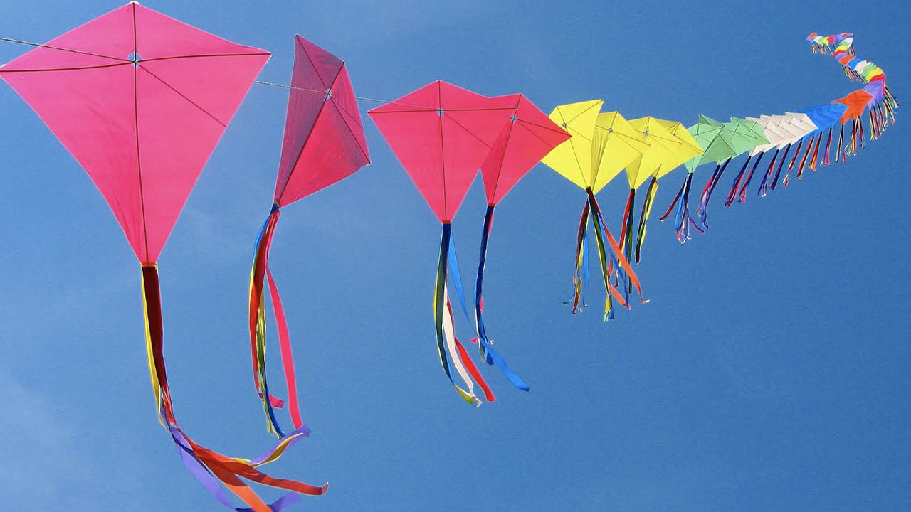 Kite Festival Celebration